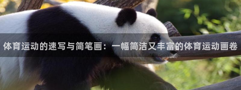 vsport体育：体育运动的速写与简笔画：一幅简洁又丰富的体育运动画卷