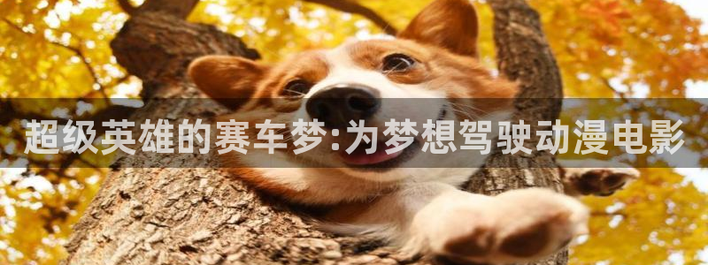 vsport体育：超级英雄的赛车梦:为梦想驾驶动漫电影