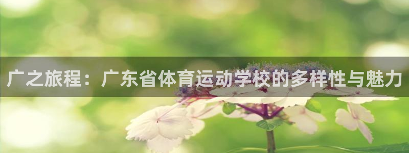 vsport体育在线官网：广之旅程：广东省体育运动学校的多样性与魅力
