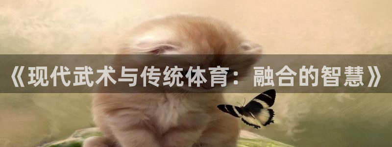 vsport体育：《现代武术与传统体育：融合的智慧》