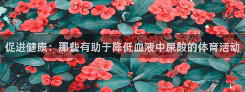 vsport体育在线官网：促进健康：那些有助于降低血液中尿酸的体育活动