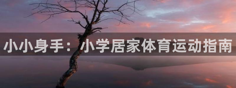 vsport体育：小小身手：小学居家体育运动指南