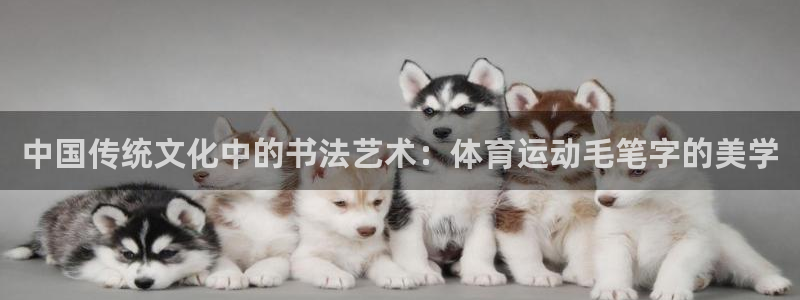 vsport体育在线官网：中国传统文化中的书法艺术：体育运动毛笔字的美学