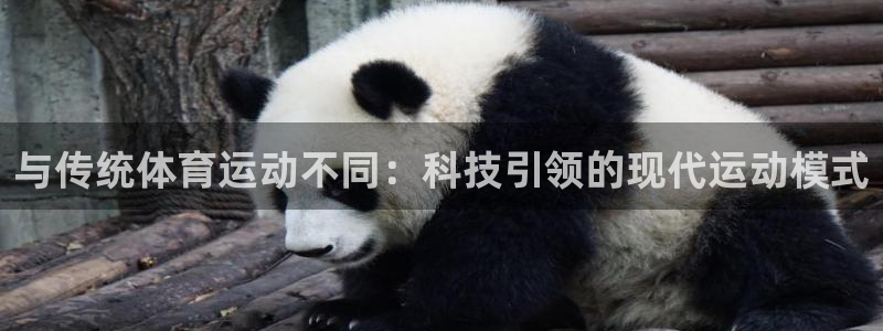 vsport体育：与传统体育运动不同：科技引领的现代运动模式