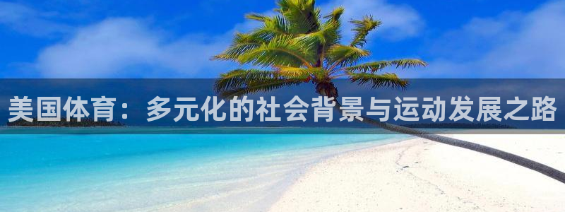 vsport体育在线官网：美国体育：多元化的社会背景与运动发展之路
