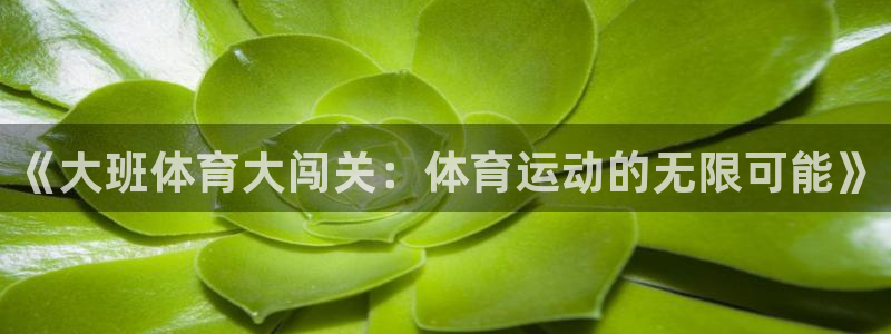 vsport体育在线官网：《大班体育大闯关：体育运动的无限可能》