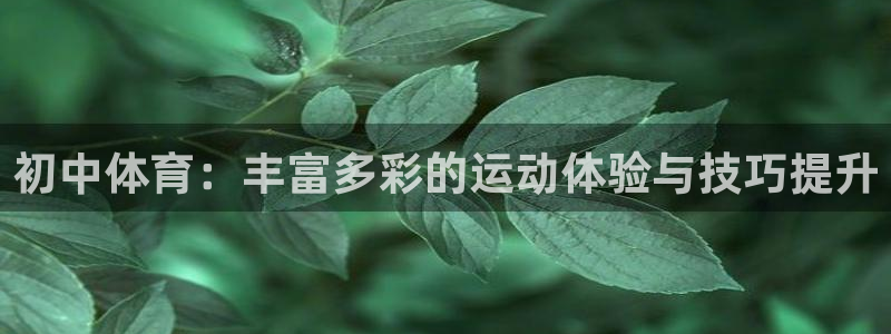 vsport体育：初中体育：丰富多彩的运动体验与技巧提升