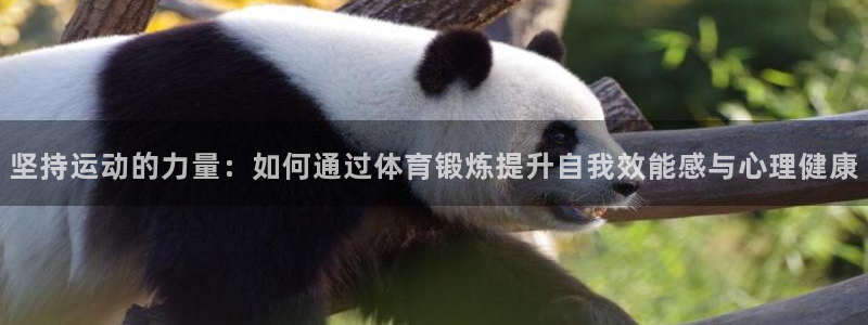 vsport体育在线官网：坚持运动的力量：如何通过体育锻炼提升自我效能感与心理健康