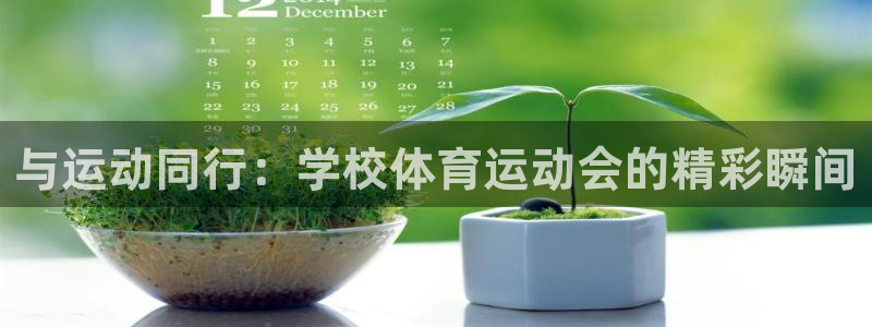 vsport体育在线官网：与运动同行：学校体育运动会的精彩瞬间