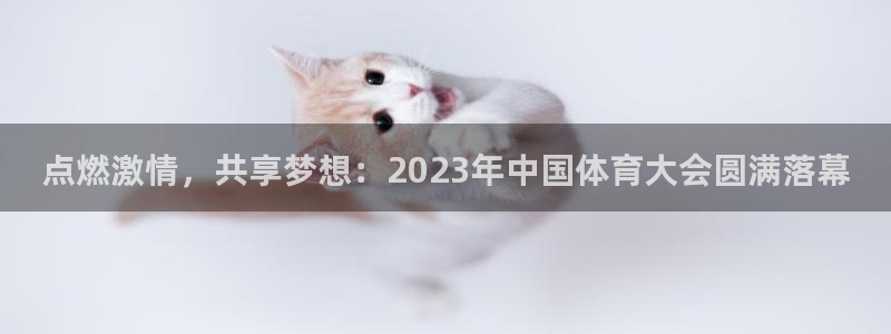 vsport体育在线官网：点燃激情，共享梦想：2023年中国体育大会圆满落幕